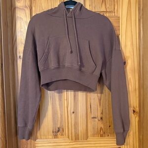 Pacsun brown cropped hoodie